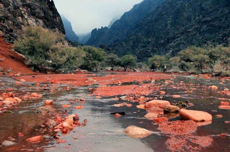 Wadi Machar 